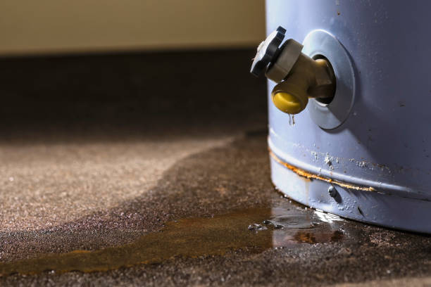 Sewage cleanup and water damage restoration in NY