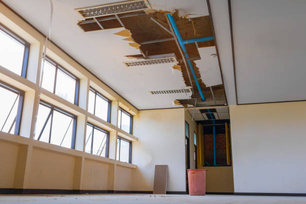 Best 24/7 water damage repair  in North Hornell, NY