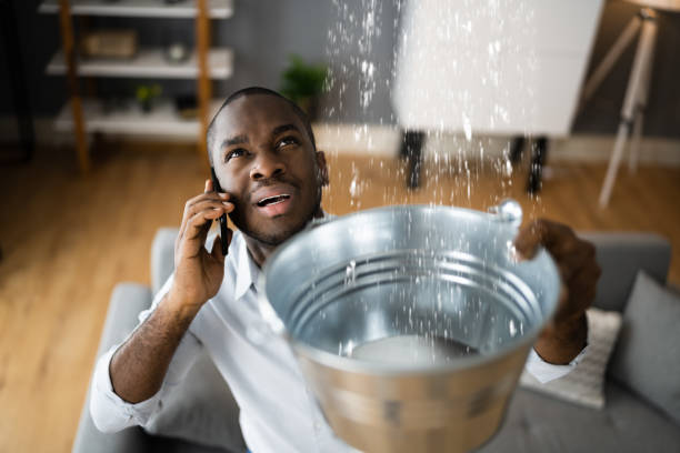 Best Water damage restoration insurance claims  in North Hornell, NY