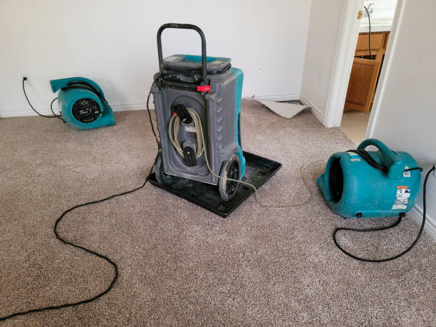 Best Local water damage restoration  in North Hornell, NY