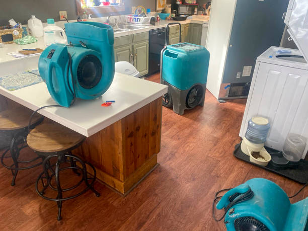 Best Water damage restoration process  in North Hornell, NY