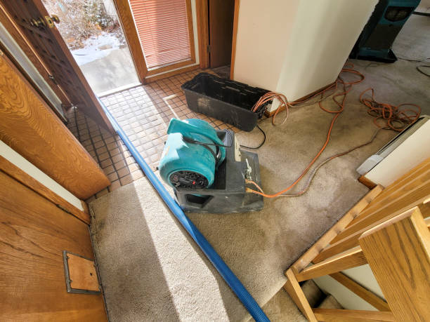 Best Professional water damage repair  in North Hornell, NY