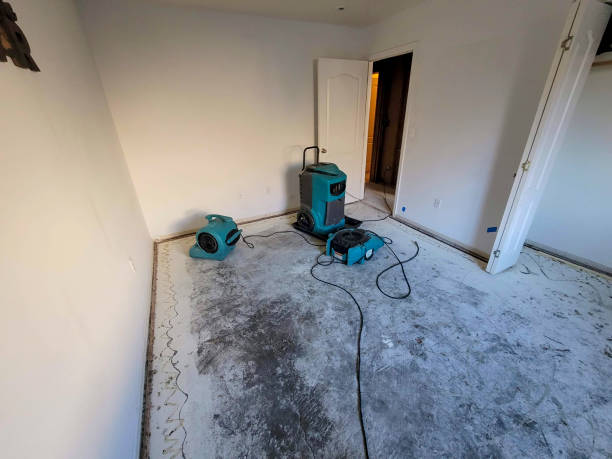 Best Sewage cleanup and water damage restoration  in North Hornell, NY