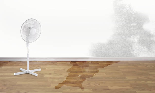 Best Basement water damage restoration  in North Hornell, NY