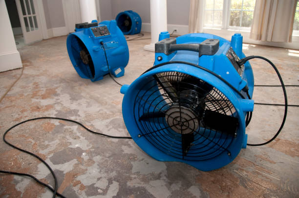 Best Flood damage cleanup  in North Hornell, NY