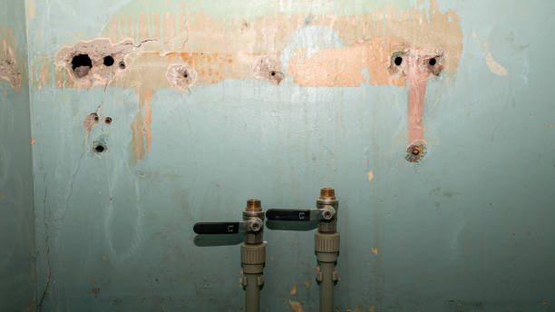 Best Water damage contractors near me  in North Hornell, NY
