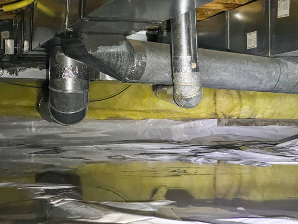 Best 24/7 water damage repair  in North Hornell, NY