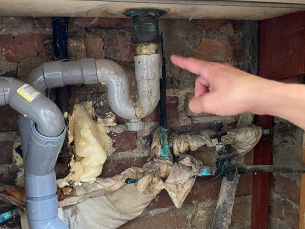 Best Water damage cleanup near me  in North Hornell, NY