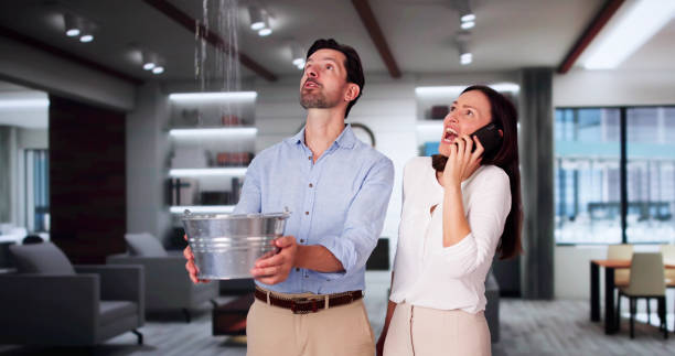 Best Professional water damage repair  in North Hornell, NY