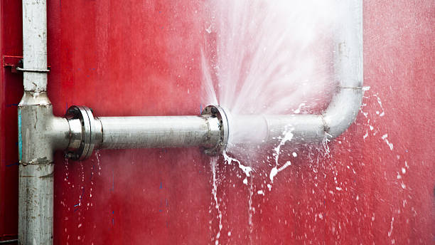 Best Water damage repair service  in North Hornell, NY