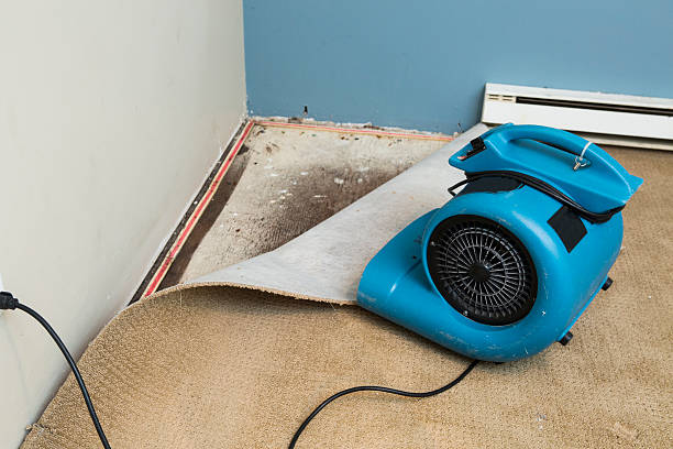 Best 24-hour water damage restoration  in North Hornell, NY